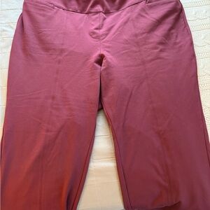Lane Bryant Eggplant Pants Petite Length - 24P
